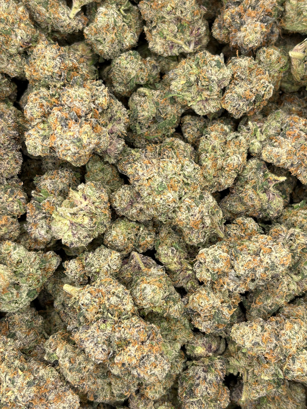 Galactic WarHeadz (Genectics by Craft Farmer)