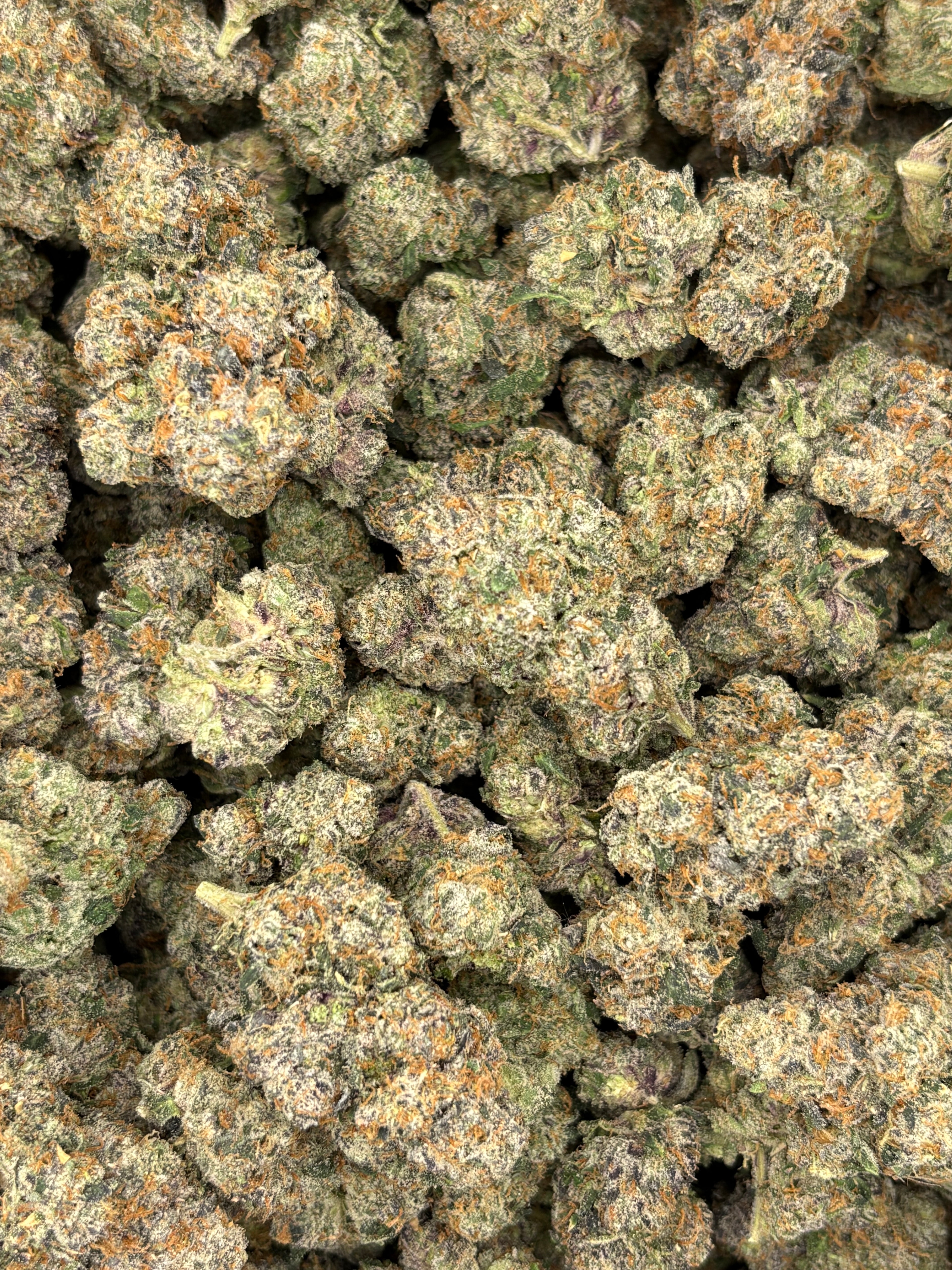 Galactic WarHeadz (Genectics by Craft Farmer)