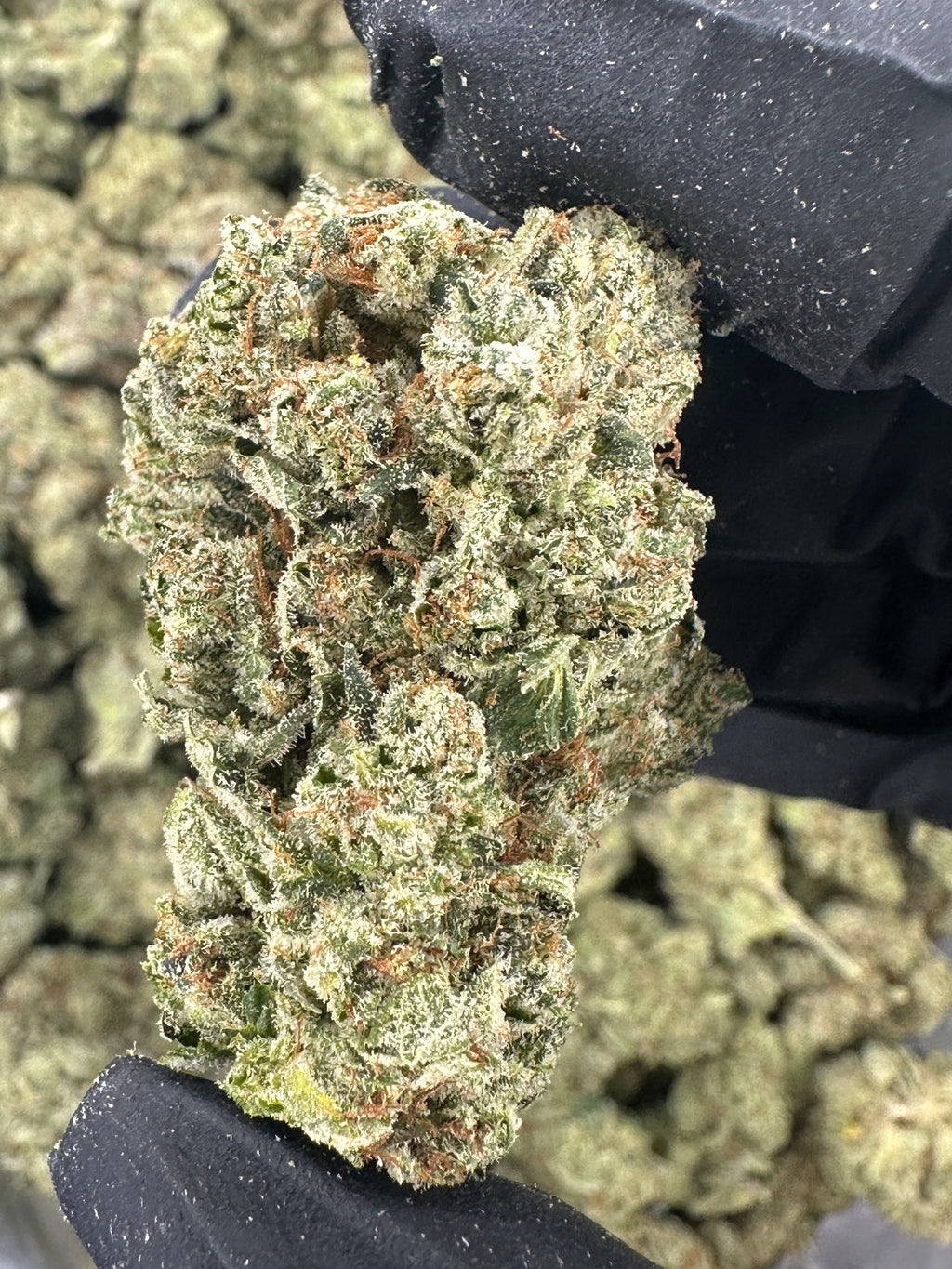 Zookies