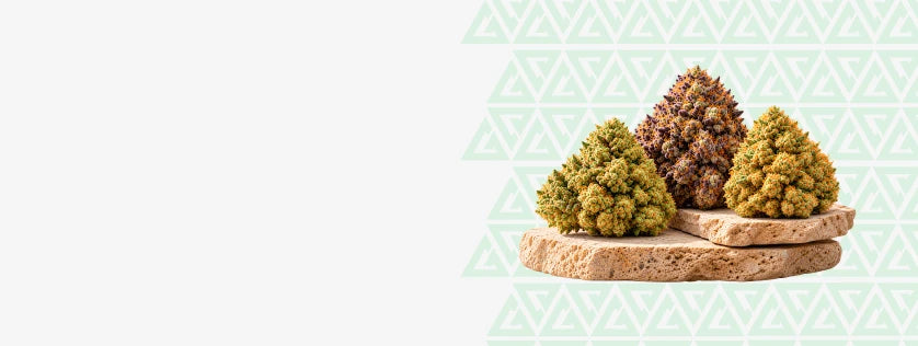 Explore THCA Flower Strains