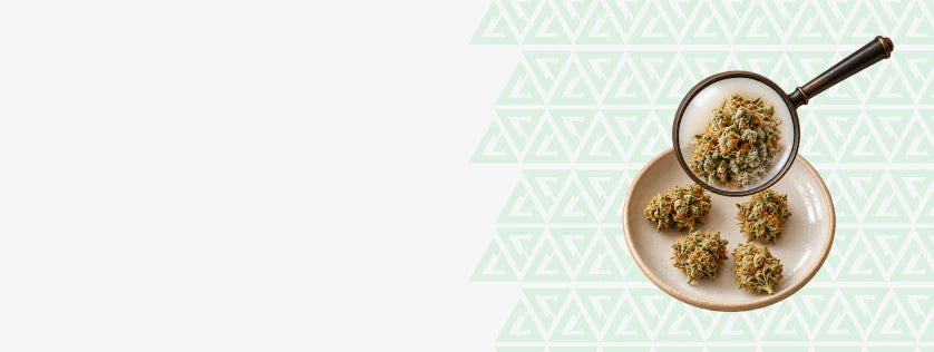 Find Your Perfect THCA Smalls