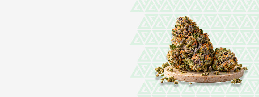 Discover Our Best THCA Strains
