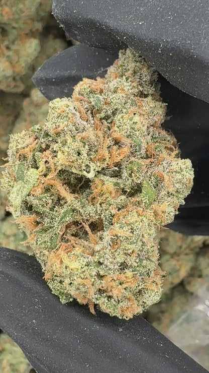 Blue Dream