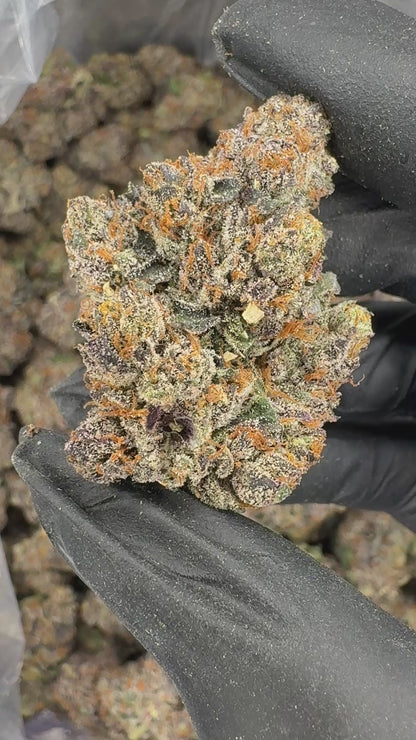 Crunch Berriez (Genetics by Fiya Farmer)