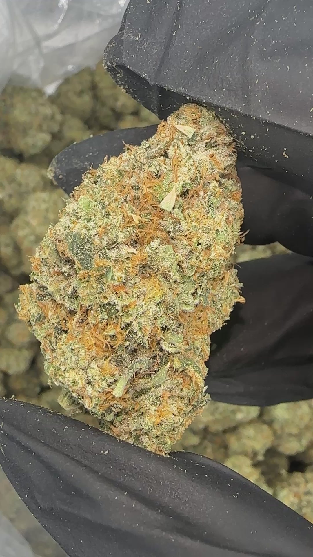 Fire OG