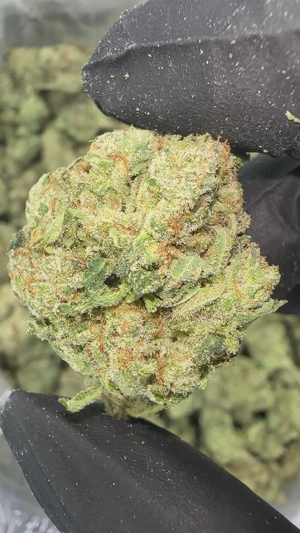 Zookies