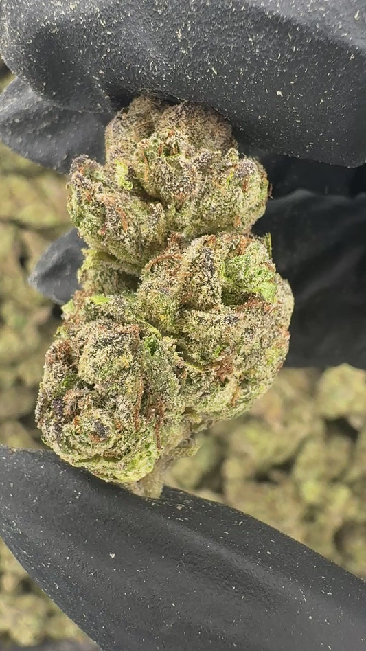 Head Candy