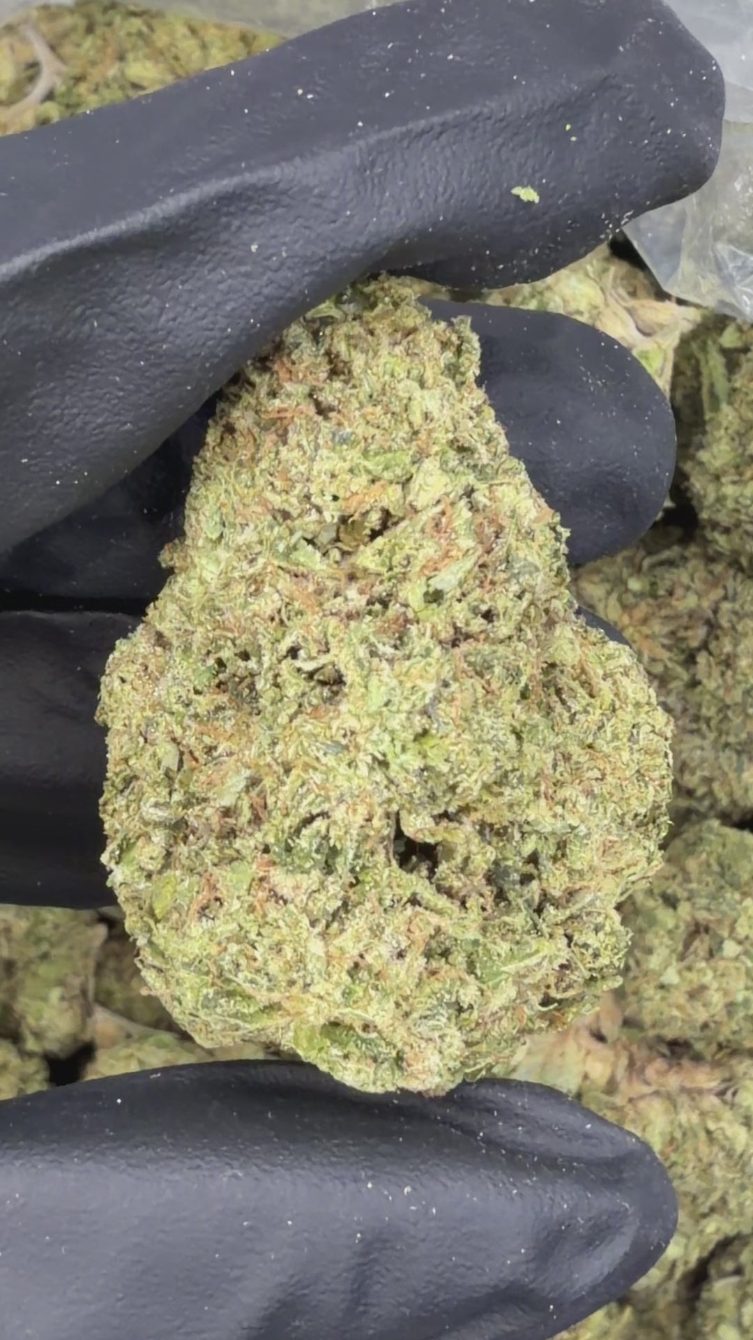 Thin Mint x Zkittlez