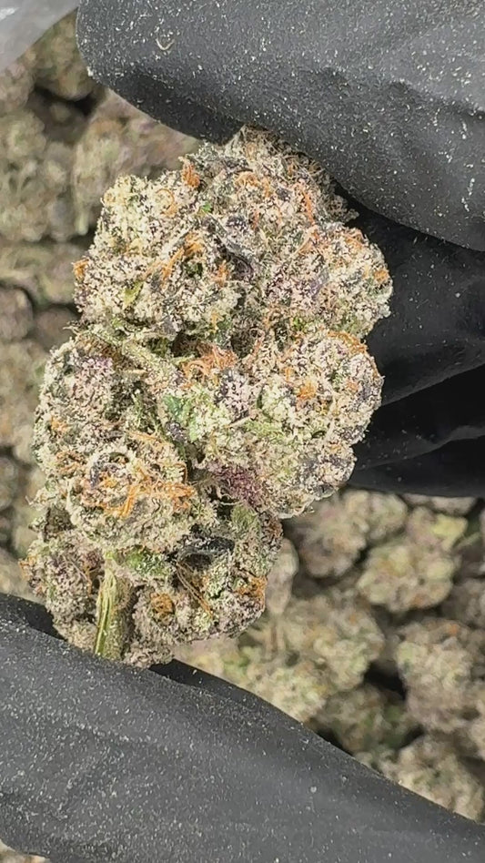 LemonCherry Runtz