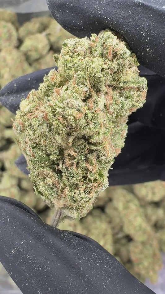 Blue Crack